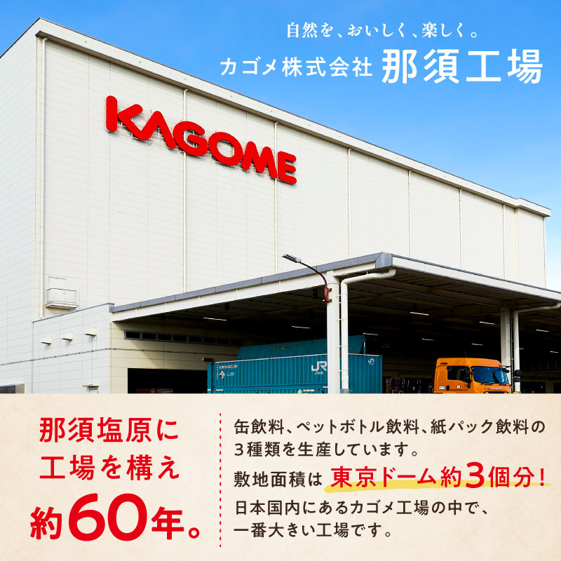 【定期便12ヶ月】カゴメ　野菜一日これ一杯トリプルケア 720ml 15本入 ns111-043