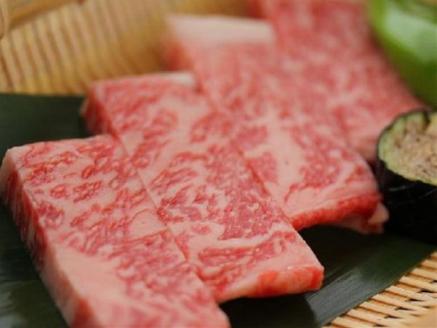 【平成温泉番付】栃木県第1位　にごり湯と美食　塩原温泉　やまの宿下藤屋　とちぎ和牛ヒレステーキとサーロインステーキ食べ較べプラン　ふるさと納税ペア宿泊利用券(1泊2食付き)　45,000円券 ns018-002