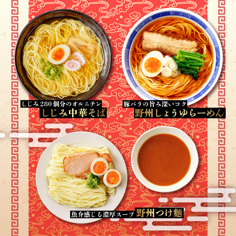 野州支那そばバラエティセット　28袋 ns036-011-28