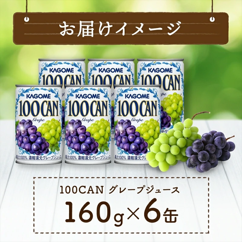 カゴメ 100CAN 160g × 6缶 濃縮還元 グレープジュース 100％ ジュース 砂糖不使用 フルーツジュース かごめ 果汁 果肉 グレープ ぶどう 葡萄 ブドウ フルーツ ns038-009