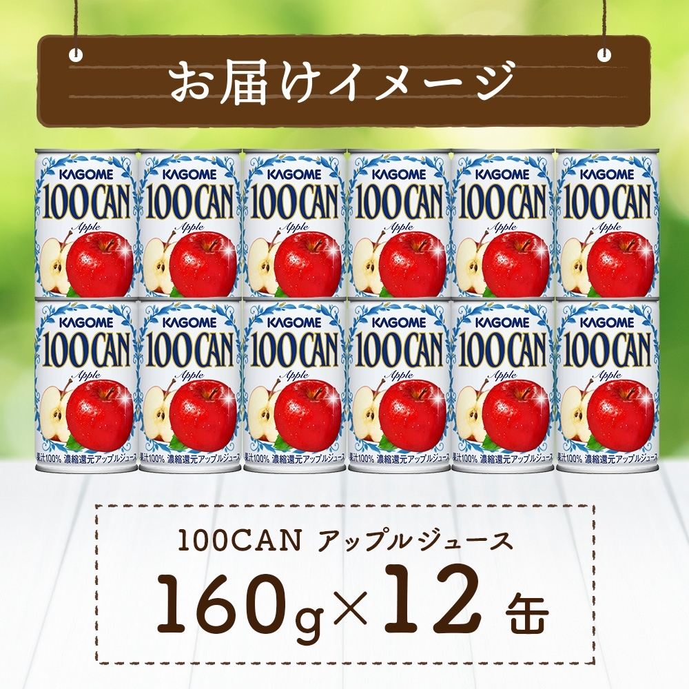１００ＣＡＮアップル160g×12 ns038-046