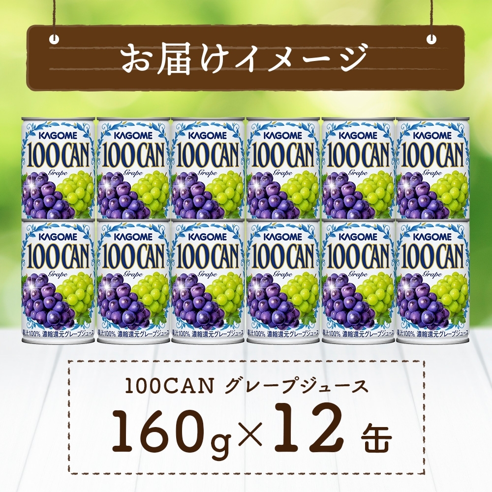 １００ＣＡＮグレープ160g×12 ns038-047