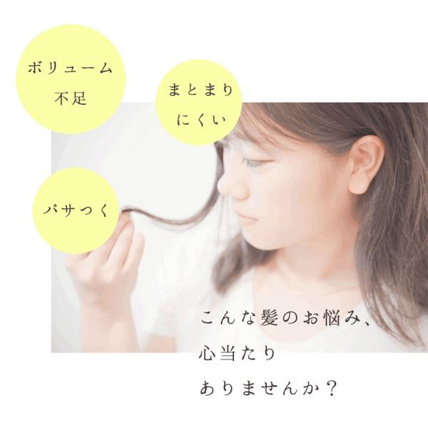 柚子とお米で感じるほのかな和 栃木の柚子 シャンプー&トリートメント ギフトセット 【栃木県 那須塩原市】ns047-004