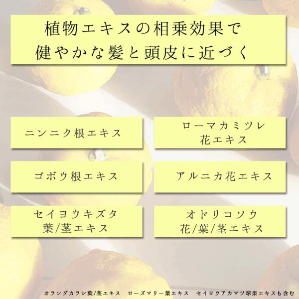 柚子とお米で感じるほのかな和 栃木の柚子 トリートメント(300ml×1本)  【栃木県 那須塩原市】 ns047-005