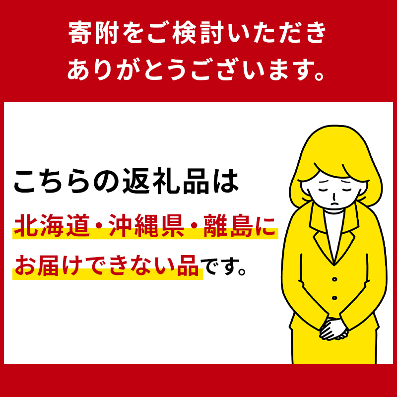 【栃木県共通返礼品】JAなすの産いちご 産地直送 とちあいか 1箱（290g×2パック）【数量限定】 ns084-002