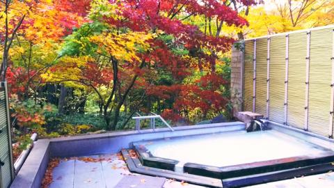 塩原温泉 源泉掛け流しにごり湯　奥塩原高原ホテル　ペア宿泊券　新館和洋室　（１泊２食付） ns016-002