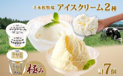 栃木県 千本松牧場 アイスクリーム2種 極み 千本松牧場アイス 計7個 ミルク 牛乳 生乳 搾りたて 濃厚 さっぱり 甘い アイス デザート スイーツ おやつ 人気 グルメ ご褒美 ns040-003