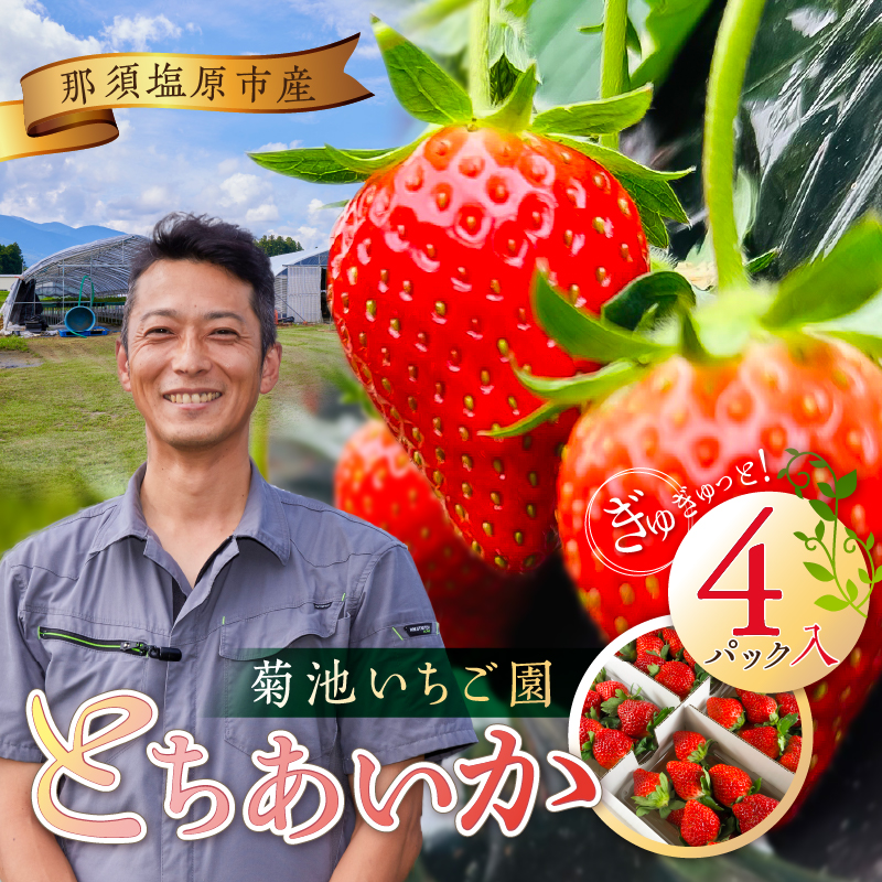 菊池いちご園　とちあいか　那須塩原市産　4パック入り ns024-001