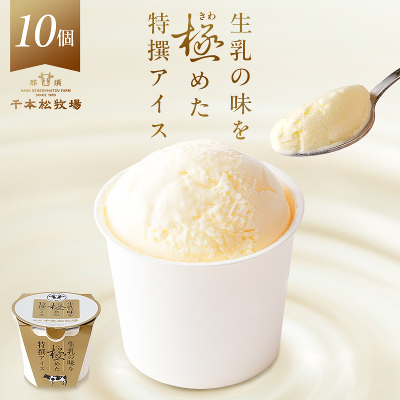 生乳の味を極めた特撰アイス10個セット 【千本松牧場】 ns025-011-10