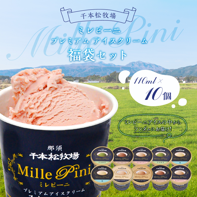 福袋セット（ミレピーニアイス10個セット）【千本松牧場】 ns025-014-10