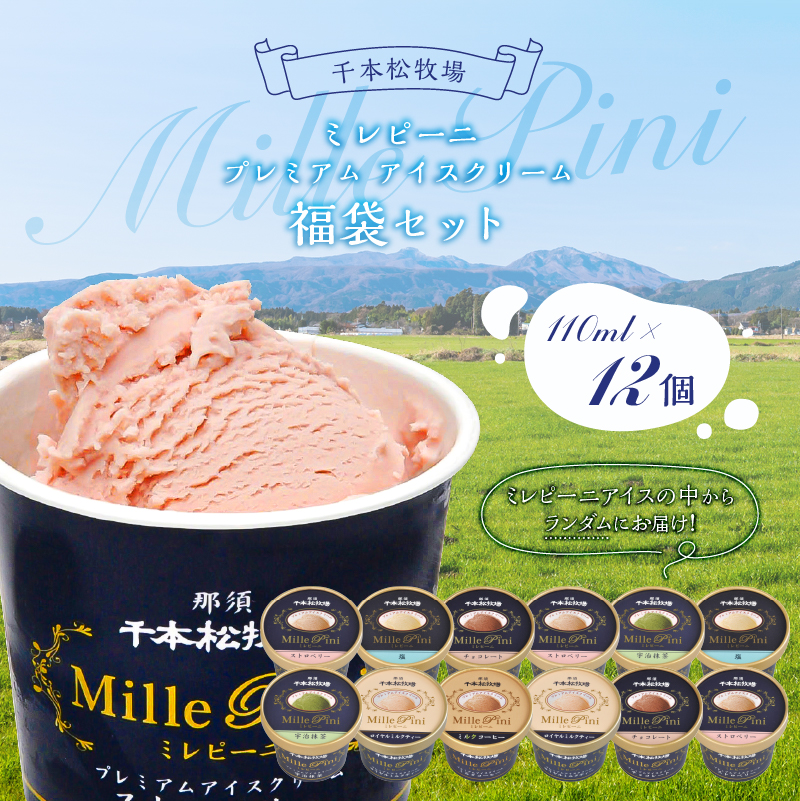 福袋セット（ミレピーニアイス12個セット）【千本松牧場】 ns025-014-12