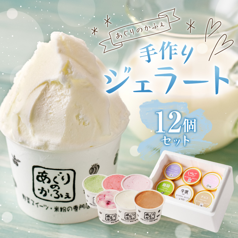 手作りジェラート12個セット【あぐりのかふぇ】 ns029-002