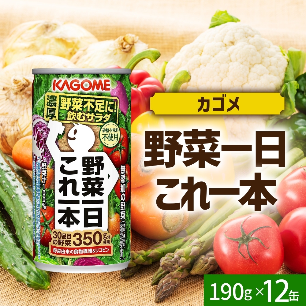 野菜一日これ一本190g×12 ns038-044