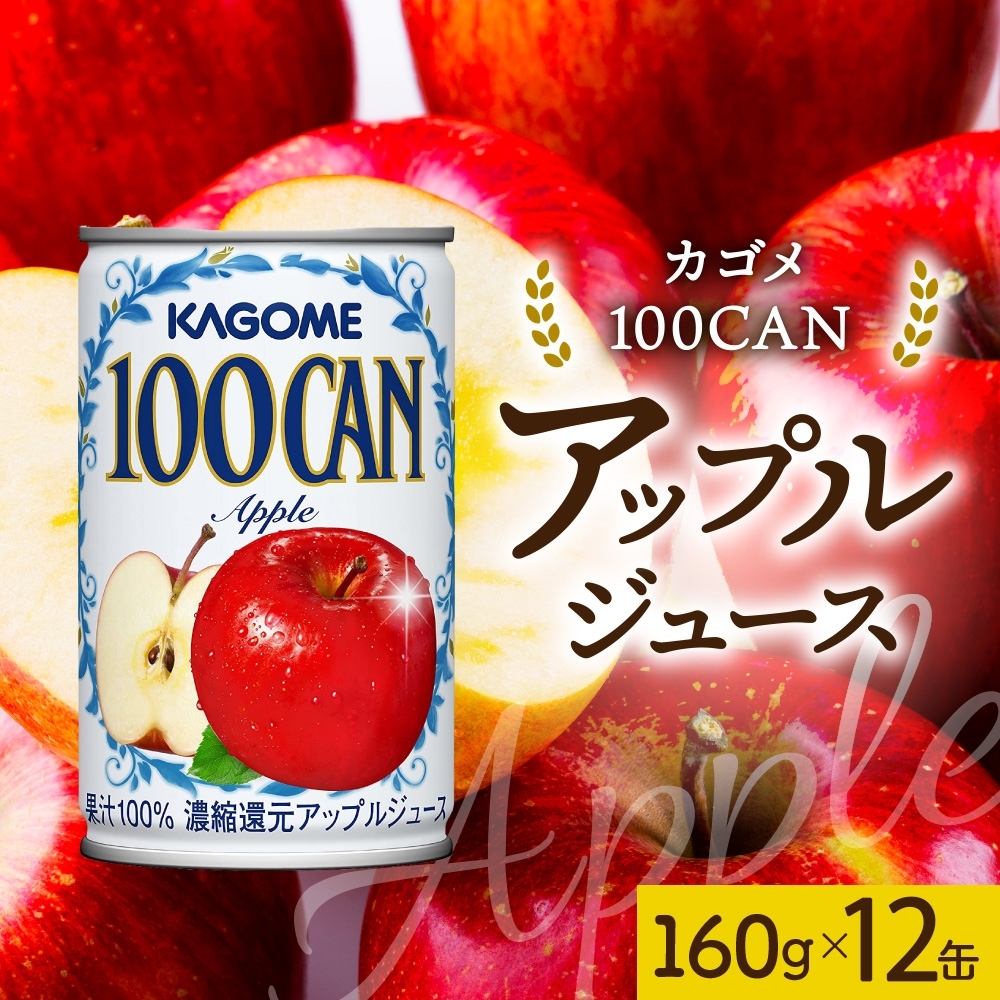 １００ＣＡＮアップル160g×12 ns038-046