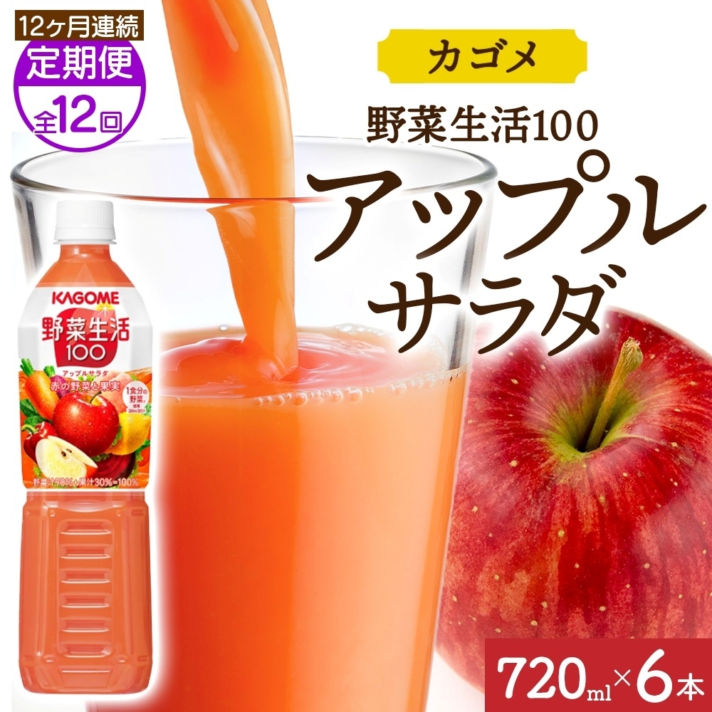 【定期便】12ヵ月連続野菜生活100 アップルサラダ 720mlPET ns038-073