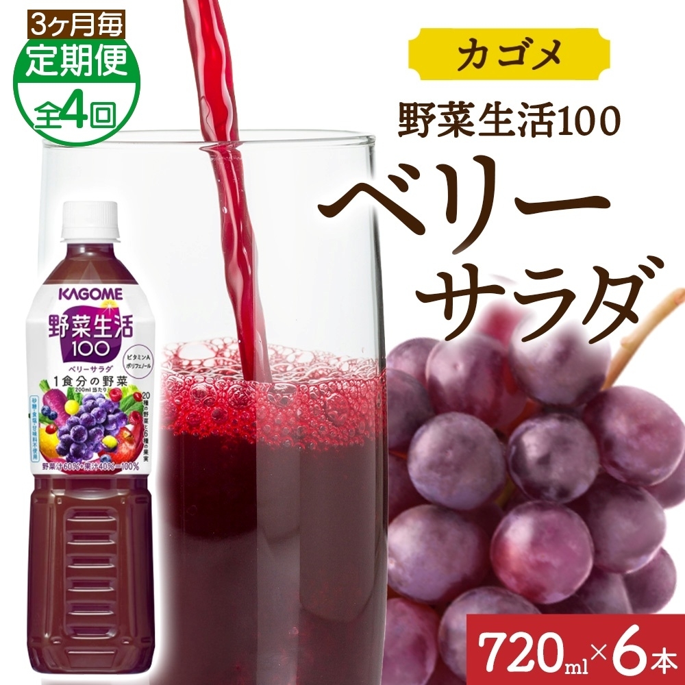 【定期便】3ヵ月毎全4回野菜生活100 ベリーサラダ 720mlPET ns038-075