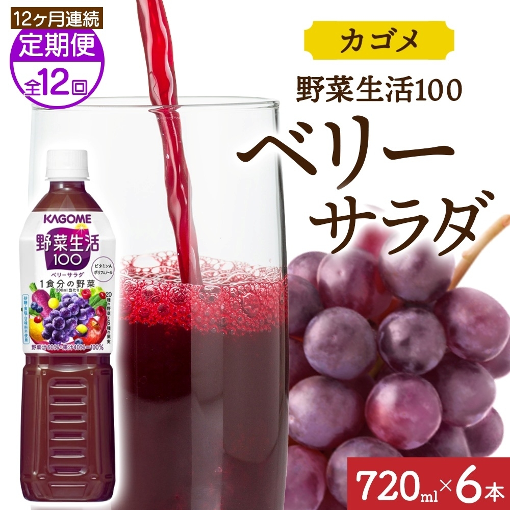 【定期便】12ヵ月連続野菜生活100 ベリーサラダ 720mlPET ns038-077