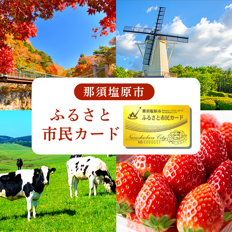 那須塩原市　ふるさと市民カード ns056-001