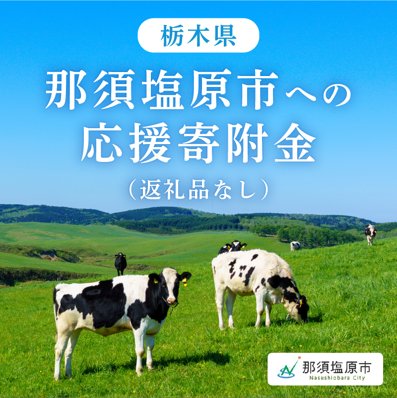 栃木県那須塩原市への寄付（返礼品はありません） ns056-002