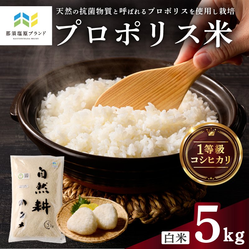 【那須塩原ブランド認定品】プロポリス米（1等級コシヒカリ 白米5kg)【令和7年度産米】 ns063-002