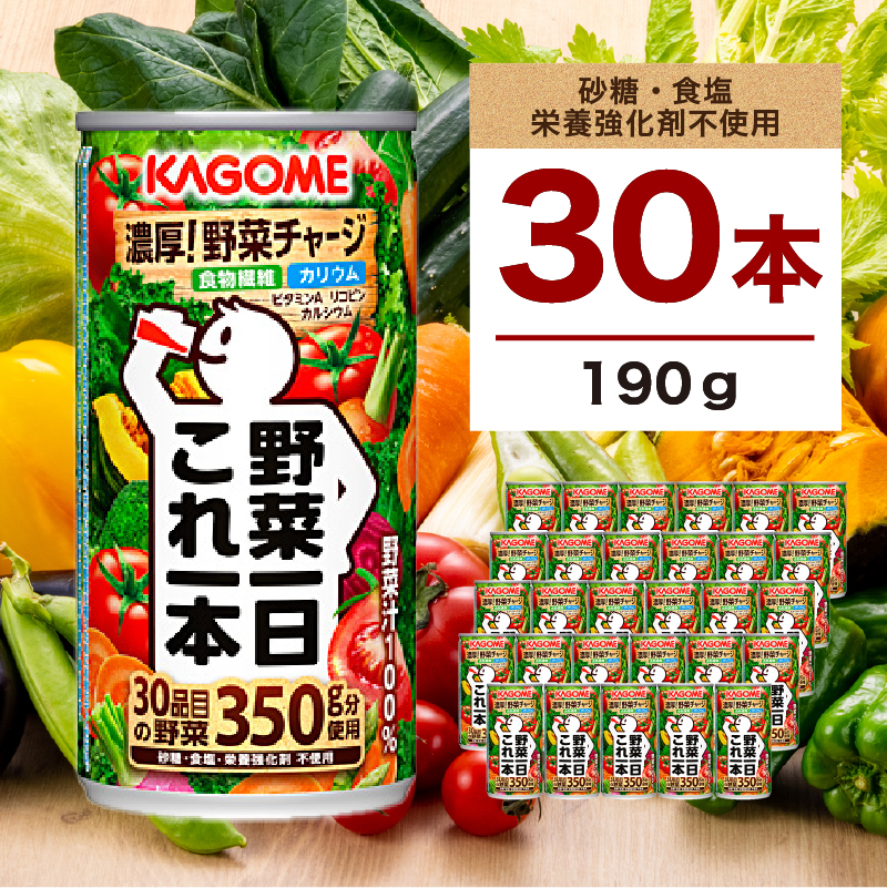 カゴメ 野菜一日これ一本 190g 30本 ns111-014-30