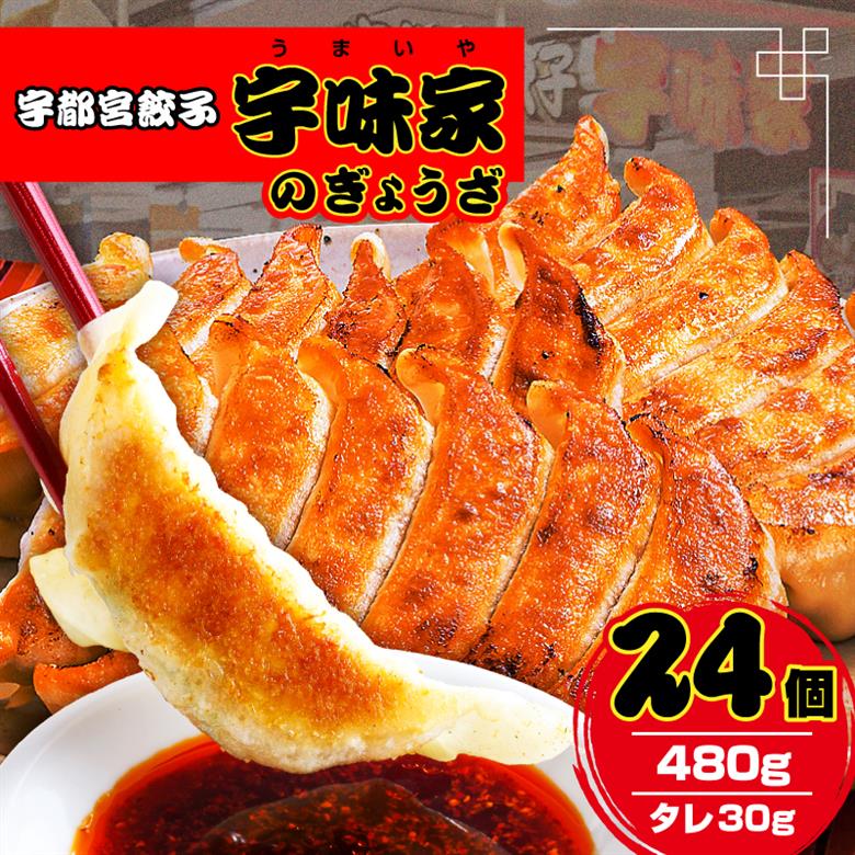 宇都宮餃子　宇味家のぎょうざ ns134-001