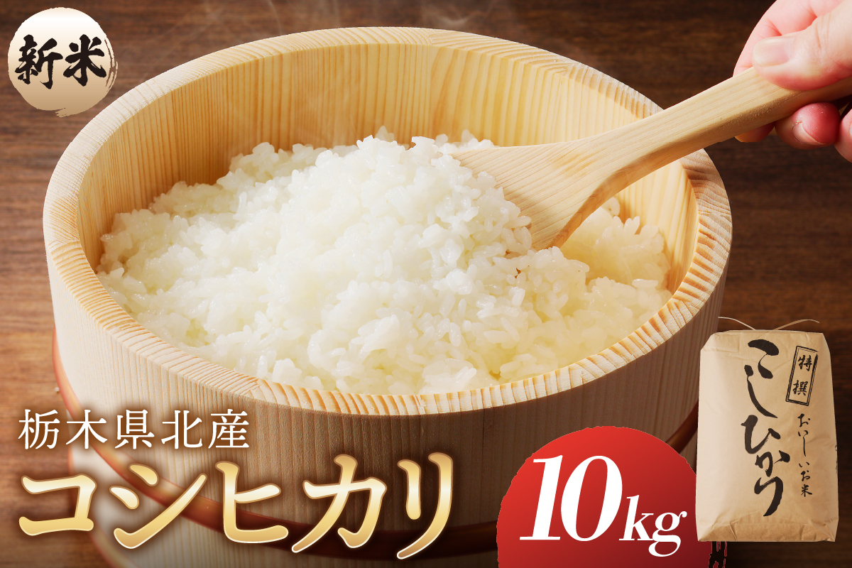 [令和6年度産]栃木県北産コシヒカリ 10kg入[新米] ns091-001