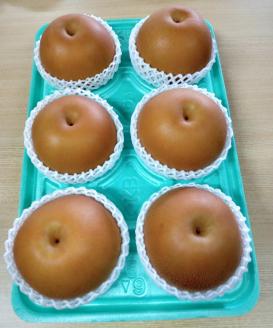 朝穫り 大玉【にっこり】5kg 5個～6個入り【9月20日受付終了】 梨 なし フルーツ 果物 数量限定 ※2025年9月下旬～10月上旬頃に順次発送予定 ※離島・沖縄への配送不可