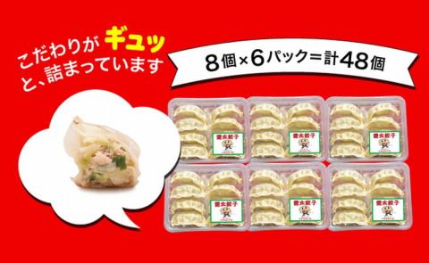 「宇都宮餃子館」健太餃子 960g（48個）≪冷凍餃子 冷凍食品 ギョーザ グルメ 食品 惣菜 中華惣菜 点心 中華≫