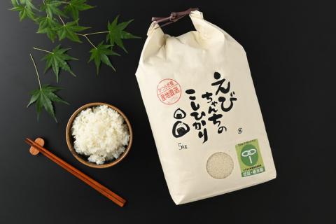 えびちゃんちの米　さくら市葛城産　5Kg ≪令和6年産 米 お米 白米 ご飯 栃木県産 送料無料≫