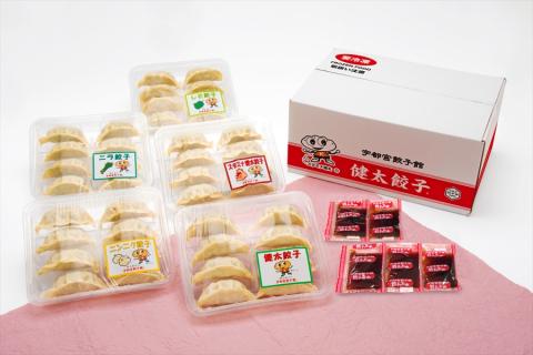 「宇都宮餃子館」健太餃子味わい５色セット（餃子5種）　800ｇギョーザ 冷凍餃子 冷凍食品 グルメ 食品 惣菜 中華惣菜 点心 中華 送料無料