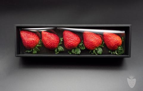 【先行予約】【数量限定】とちあいかDX ギフトBOX（5粒）｜いちご イチゴ 苺 ※2025年11月上旬頃より順次発送予定