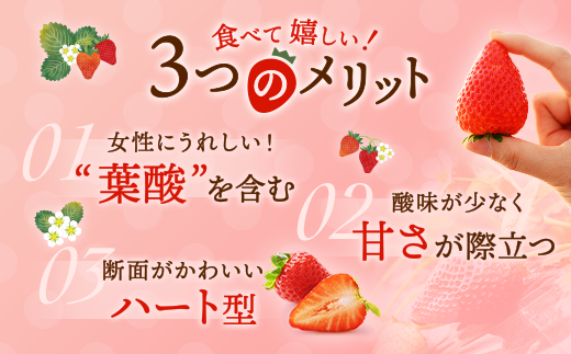 〈数量限定〉【先行予約】さくら市産イチゴ（とちあいか）290g×4パック【先行予約 栃木県 果物 くだもの フルーツ 苺 いちご】 ※2025年12月下旬～2026年3月下旬頃に順次発送予定