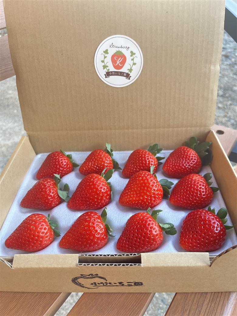 【定期便】栃木のいちご3銘柄（とちあいか　とちおとめ　スカイベリー）定期便　400g×1パック　※2026年1月上旬頃から1ヶ月毎1種類ずつ順次発送予定