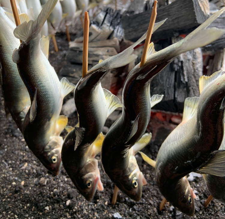 地下水育ち　炭火焼き鮎15尾入り