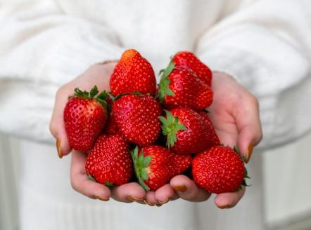 いちご＆ブルーベリー コンフィチュール 140g×各1瓶セット 合計280g ロイヤルクイーンのいちごと無農薬ブルーベリーの果実ゴロゴロ！