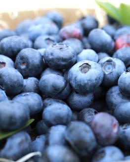 いちご＆ブルーベリー コンフィチュール 500g×各1瓶セット 合計1kg ロイヤルクイーンのいちごと無農薬ブルーベリーの果実ゴロゴロ！