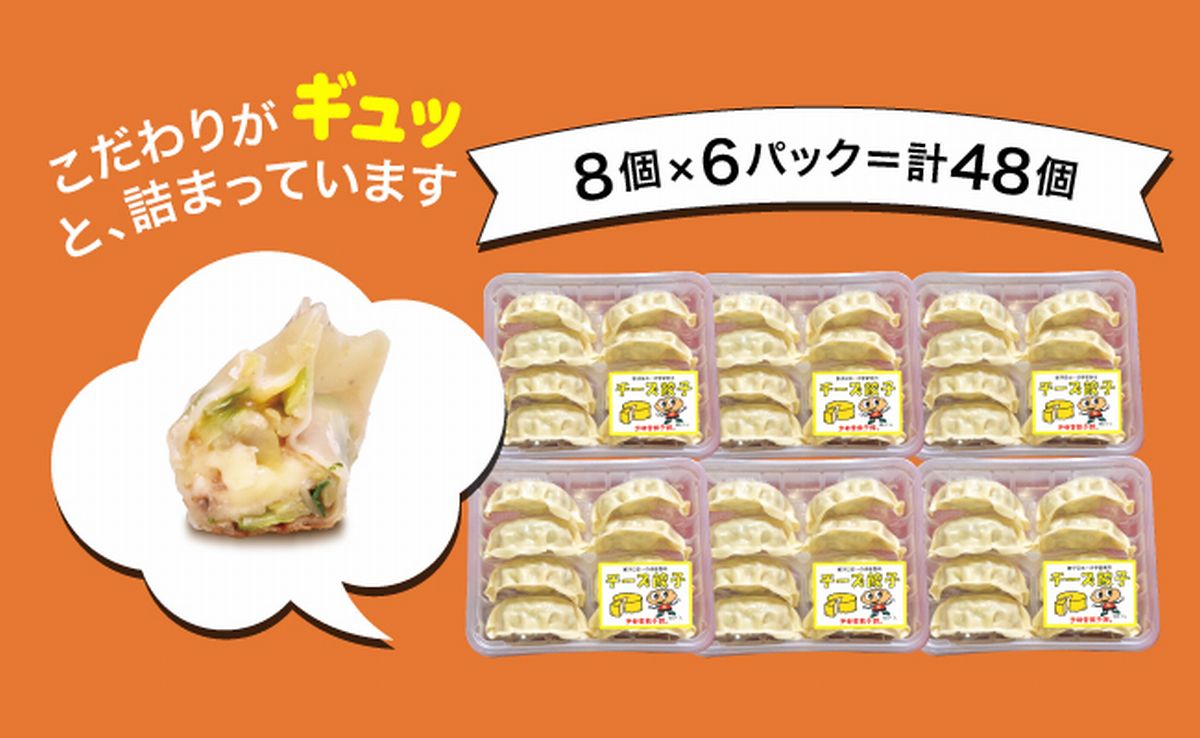 「宇都宮餃子館」チーズ餃子 960ｇ（４８個）ギョーザ 冷凍餃子 冷凍食品 グルメ 食品 惣菜 中華惣菜 点心 中華 送料無料