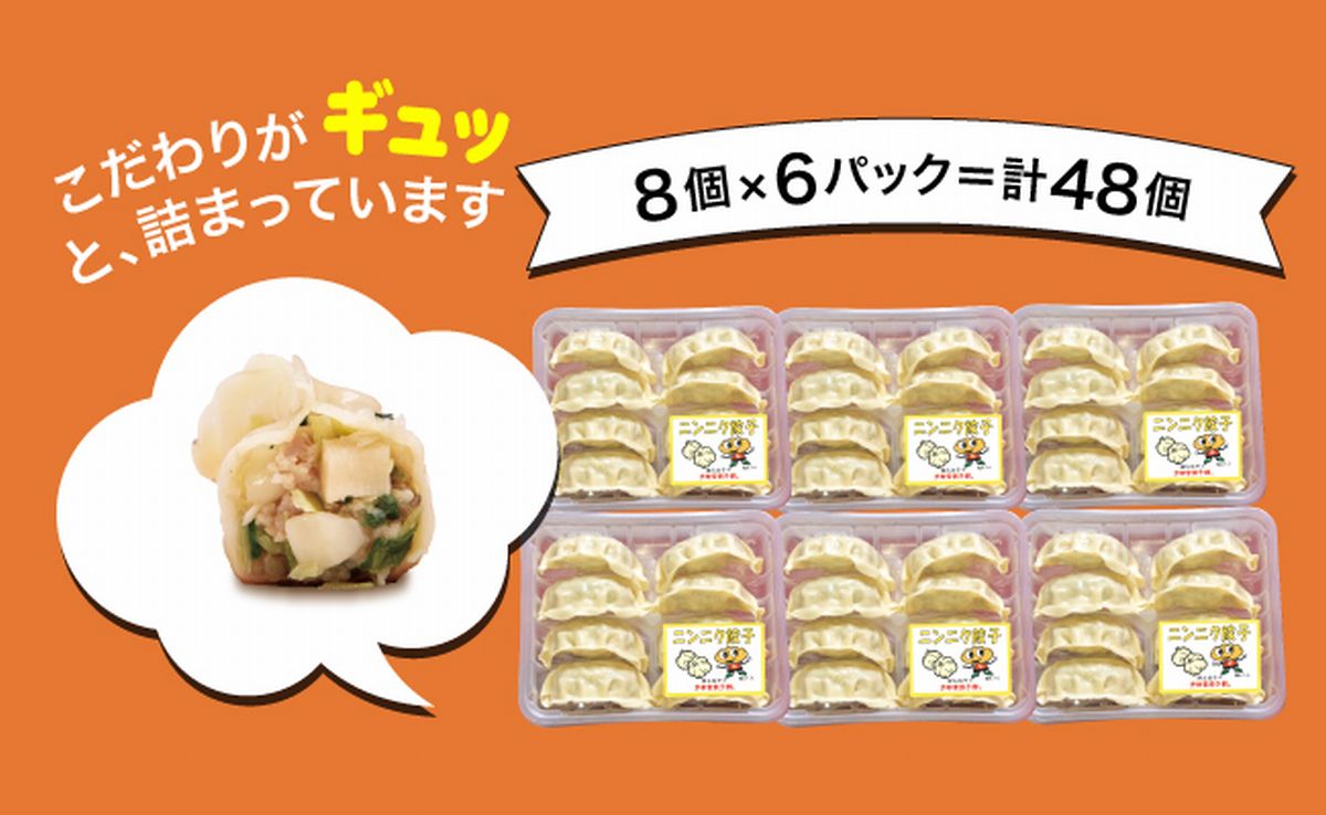 「宇都宮餃子館」ニンニク餃子 960ｇ（４８個）ギョーザ 冷凍餃子 冷凍食品 グルメ 食品 惣菜 中華惣菜 点心 中華 送料無料