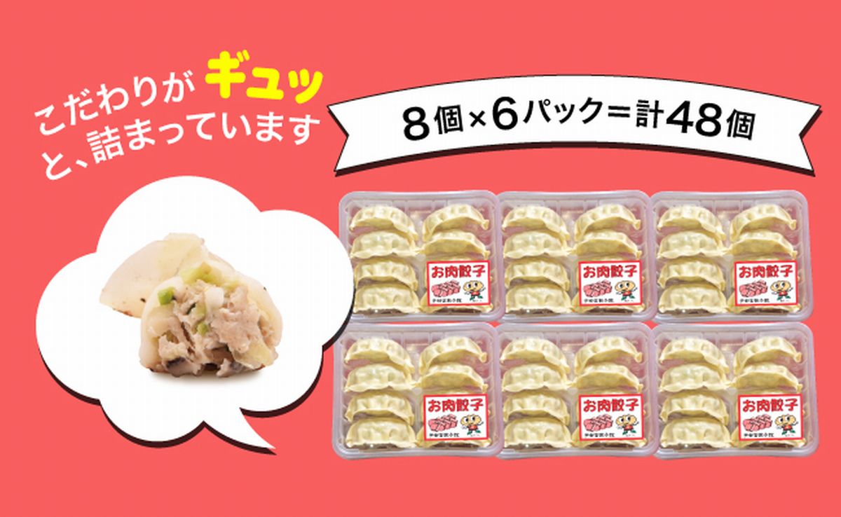 「宇都宮餃子館」お肉餃子 960ｇ（４８個）ギョーザ 冷凍餃子 冷凍食品 グルメ 食品 惣菜 中華惣菜 点心 中華 送料無料