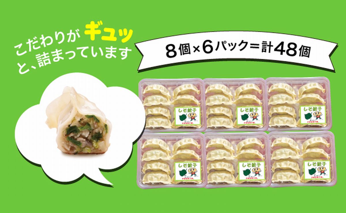 「宇都宮餃子館」シソ餃子 960ｇ（４８個）ギョーザ 冷凍餃子 冷凍食品 グルメ 食品 惣菜 中華惣菜 点心 中華 送料無料