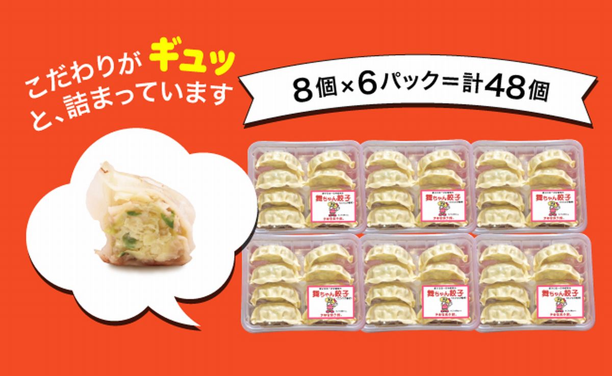 「宇都宮餃子館」舞ちゃん餃子 960ｇ（４８個）ギョーザ 冷凍餃子 冷凍食品 グルメ 食品 惣菜 中華惣菜 点心 中華 送料無料