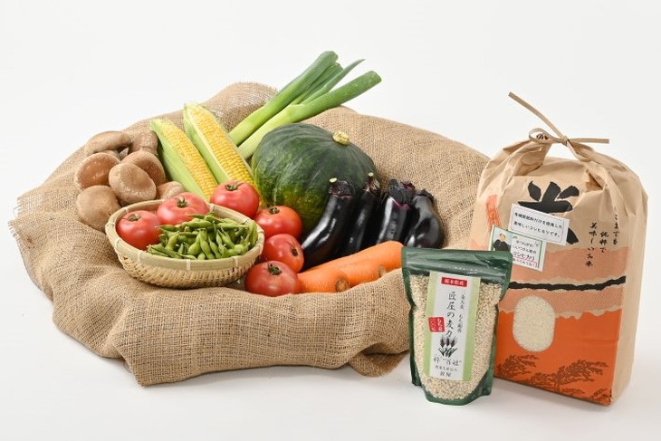 さくら市産の農産物詰め合わせDX≪野菜 旬の野菜 米 送料無料≫