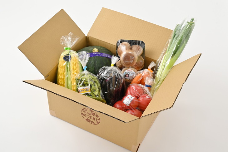 さくら市産の農産物詰め合わせ≪野菜 新鮮 国産 栃木県 送料無料≫