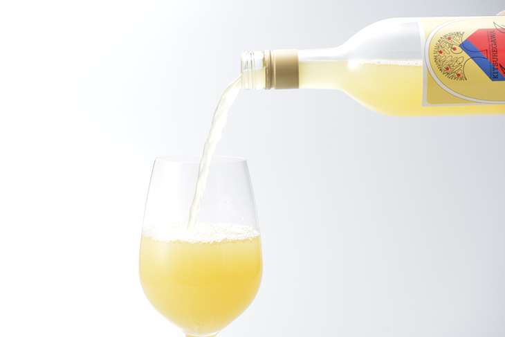 平山りんご園のりんごジュース 手作り リンゴ 果汁100% 果物 送料無料