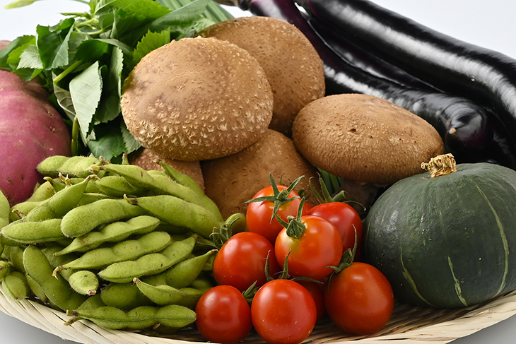 【産地直送】採りたて野菜セット 野菜セット 旬の野菜  新鮮 詰め合わせ 栃木県産 国産