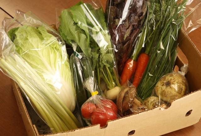 【産地直送】採りたて野菜と昔ながらの手づくり加工品セット 旬の野菜 詰め合わせ 野菜セット 栃木県産 国産 送料無料