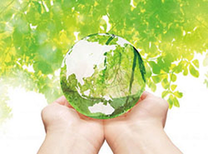 Ecoshibo（エコシボ）900本入※離島不可