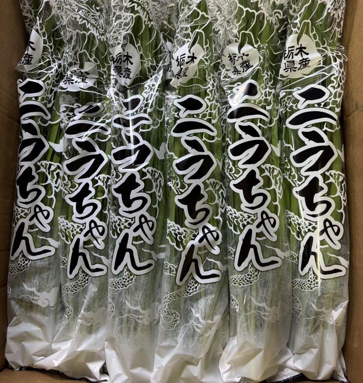 栃木県産こだわりニラ100g&#215;20束 ｜ さくら市 にら 韮 野菜 国産