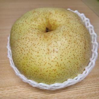 朝穫り 大玉【かおり】5kg 5個～6個入り【9月15日受付終了】 梨 なし フルーツ 果物 数量限定 ※2025年9月下旬～10月上旬頃に順次発送予定 ※離島・沖縄への配送不可